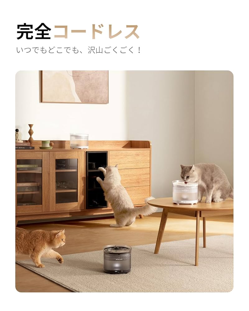 Amazon | Homerunpet 完全コードレスペット用自動給水器 充電式